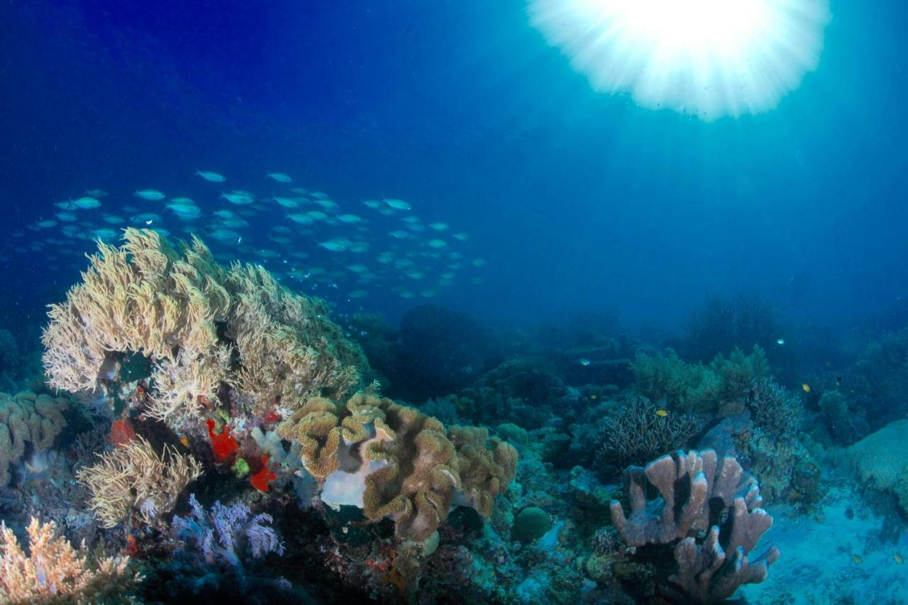 C气泡潜水度假村 C Bubble Diving Resort Dumaguete City Экстерьер фото